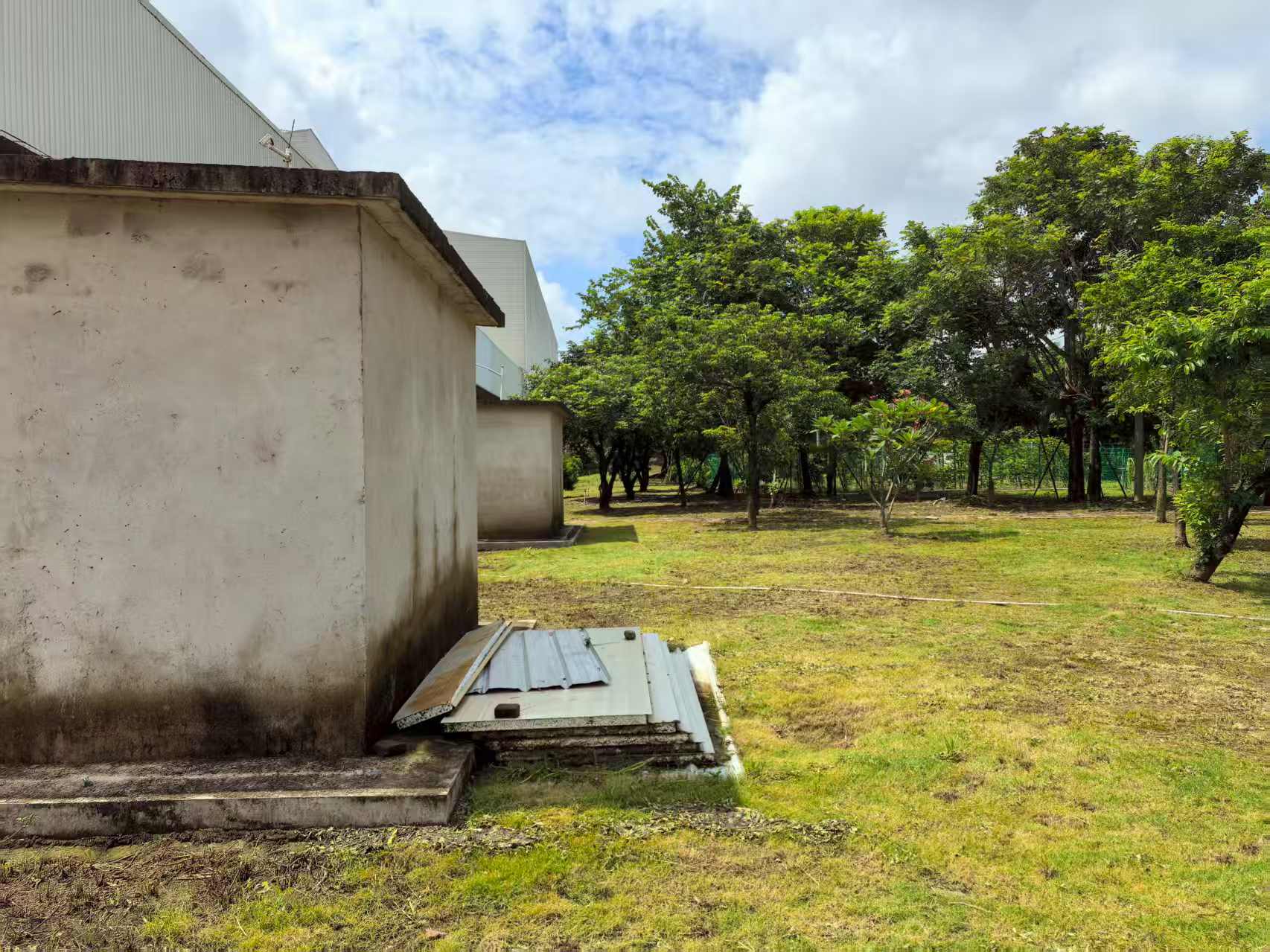 绿化带杂物整改前.jpg 绿化带杂物整改前.jpg